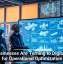 Why Businesses Are Turning to Digital Twins for Operational Optimization